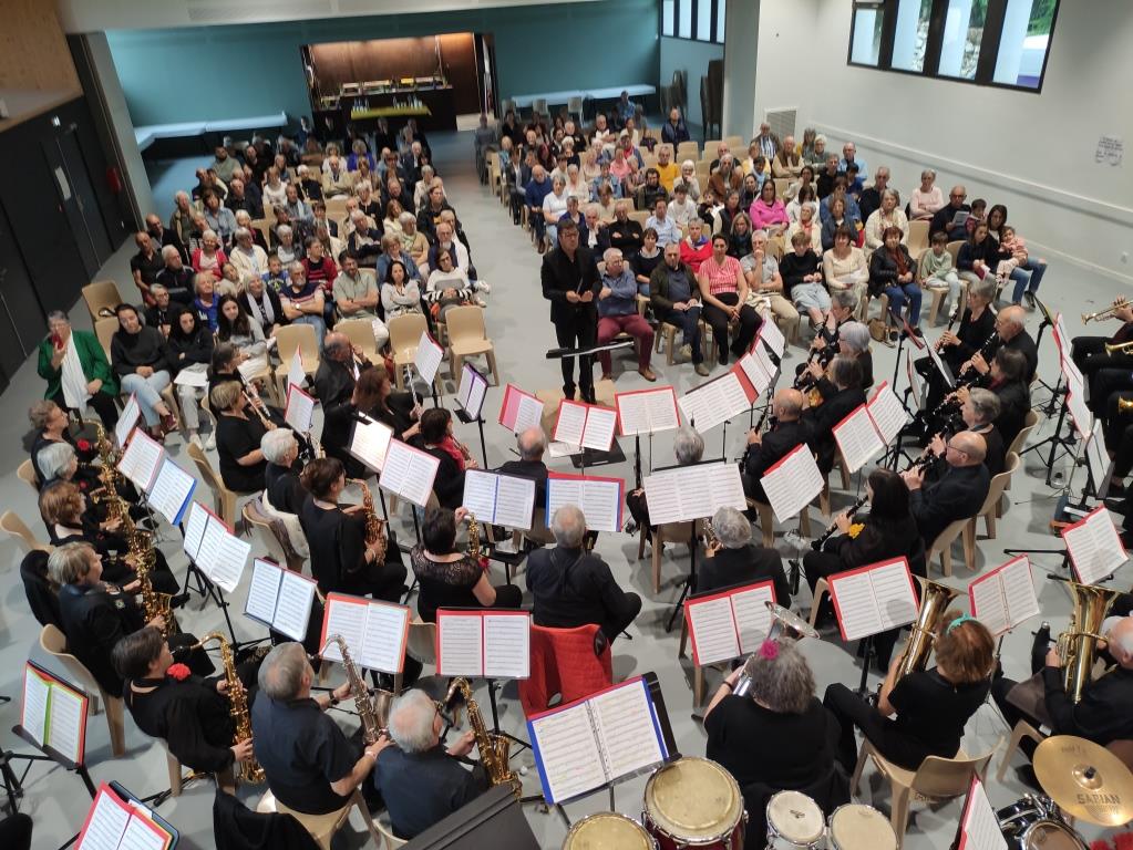 Affiche du Concert de Printemps VSOP